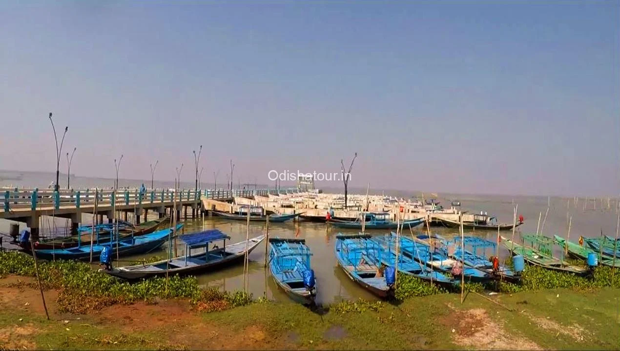 Chilika 